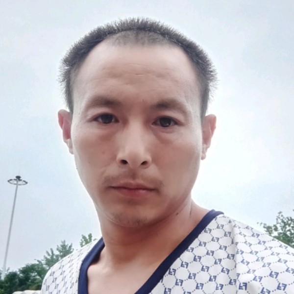 胡萝卜保卫俊秀的照片