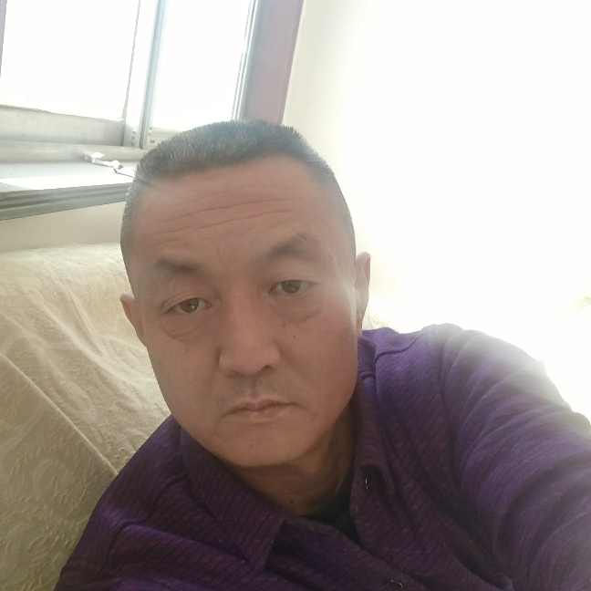夜月之狼的照片