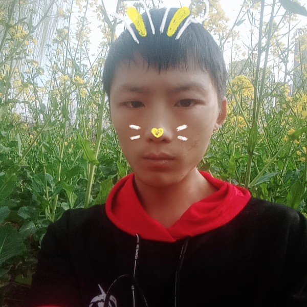 风萧阔达520的照片