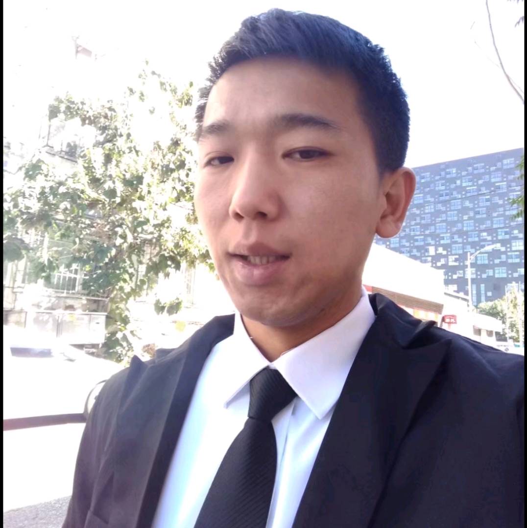 小刺猬还现实的照片