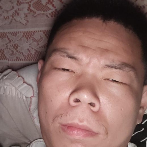 成就打狗的照片
