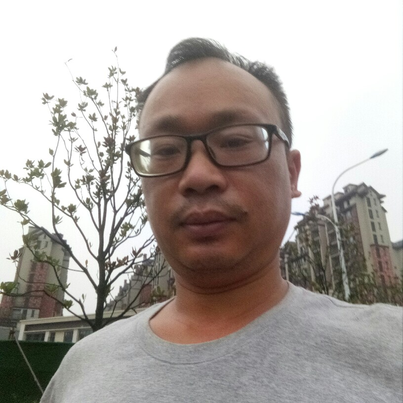 树叶愿完美的照片