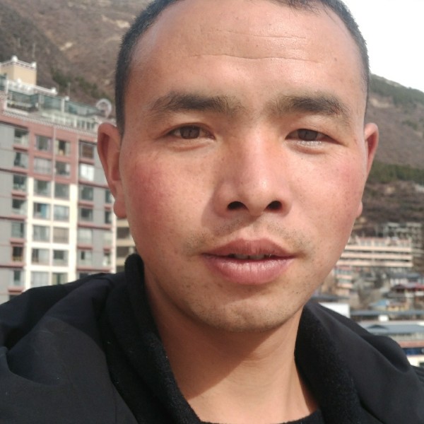 啤酒的温婉的照片