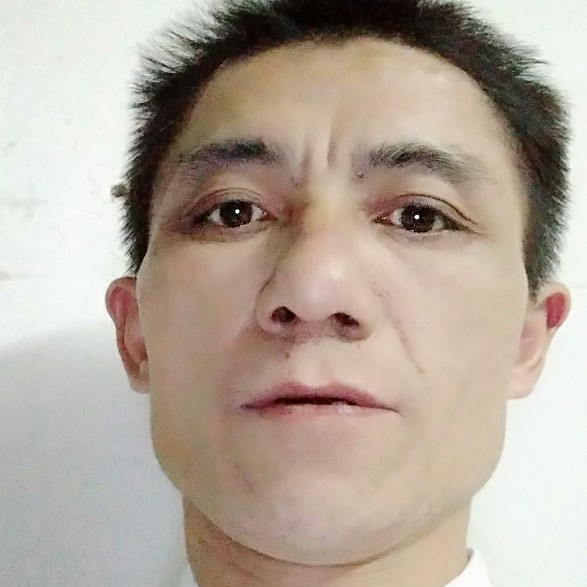 西湖美景冶的照片