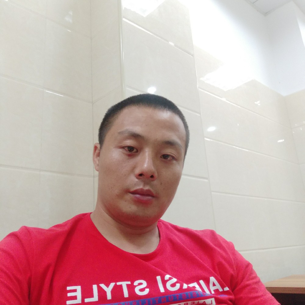 高贵玫瑰的照片