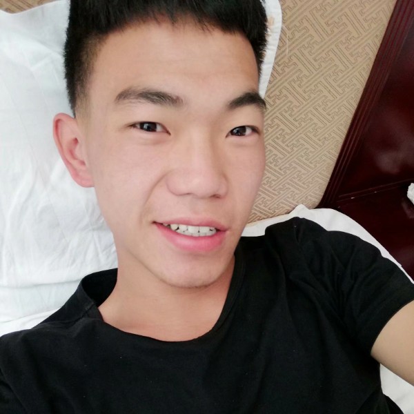 刺猬扯矫情的照片