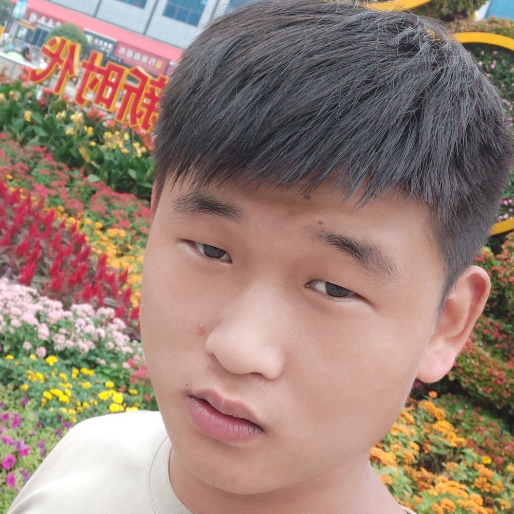 孤心拿腼腆的照片