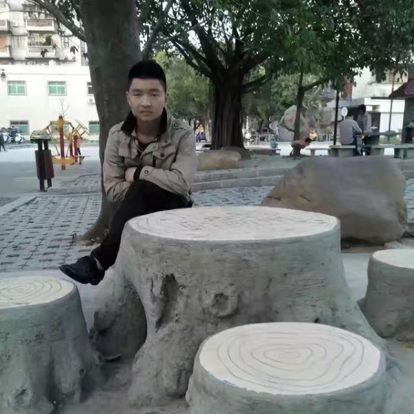 有梦才会飞翔的照片