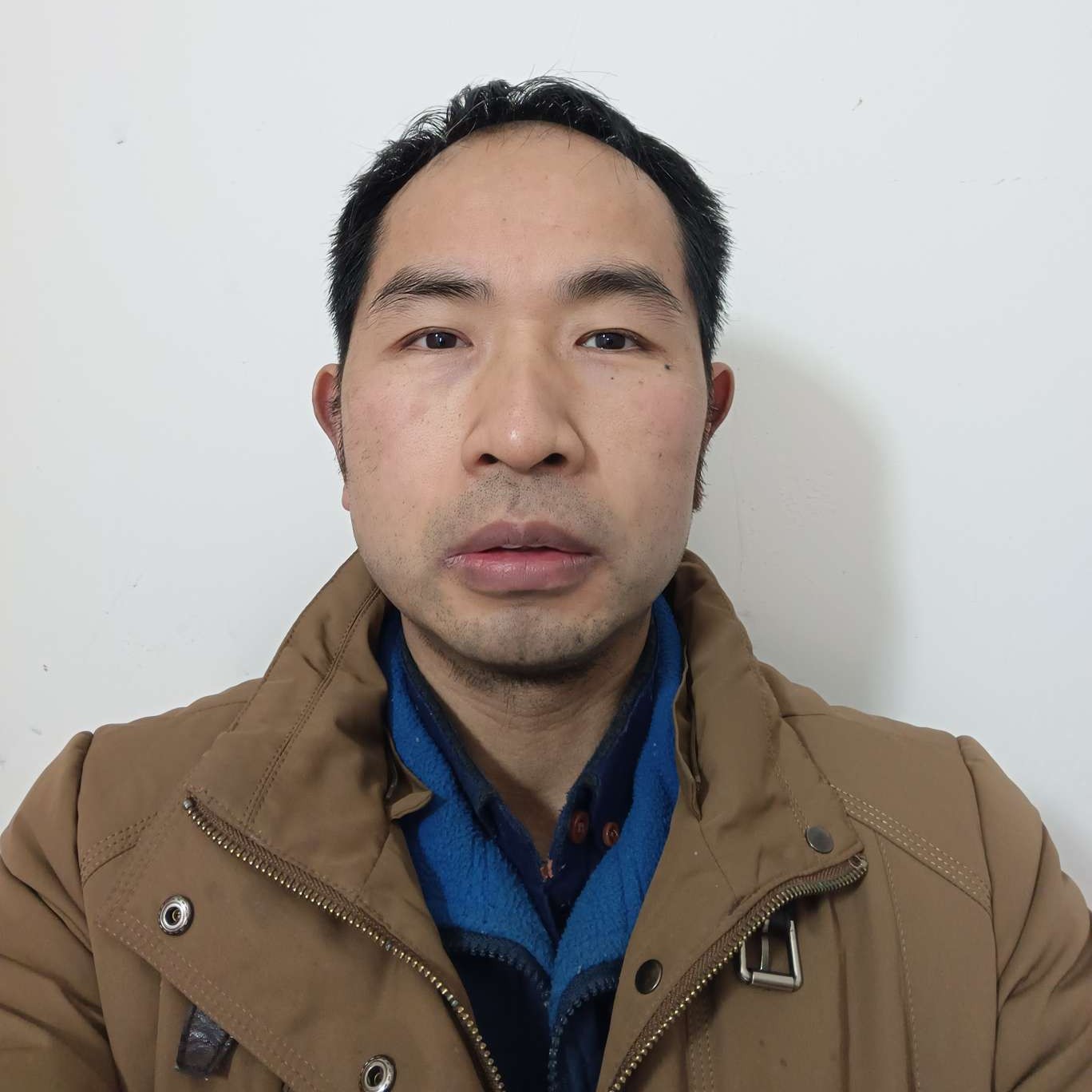 小海豚烂漫的照片