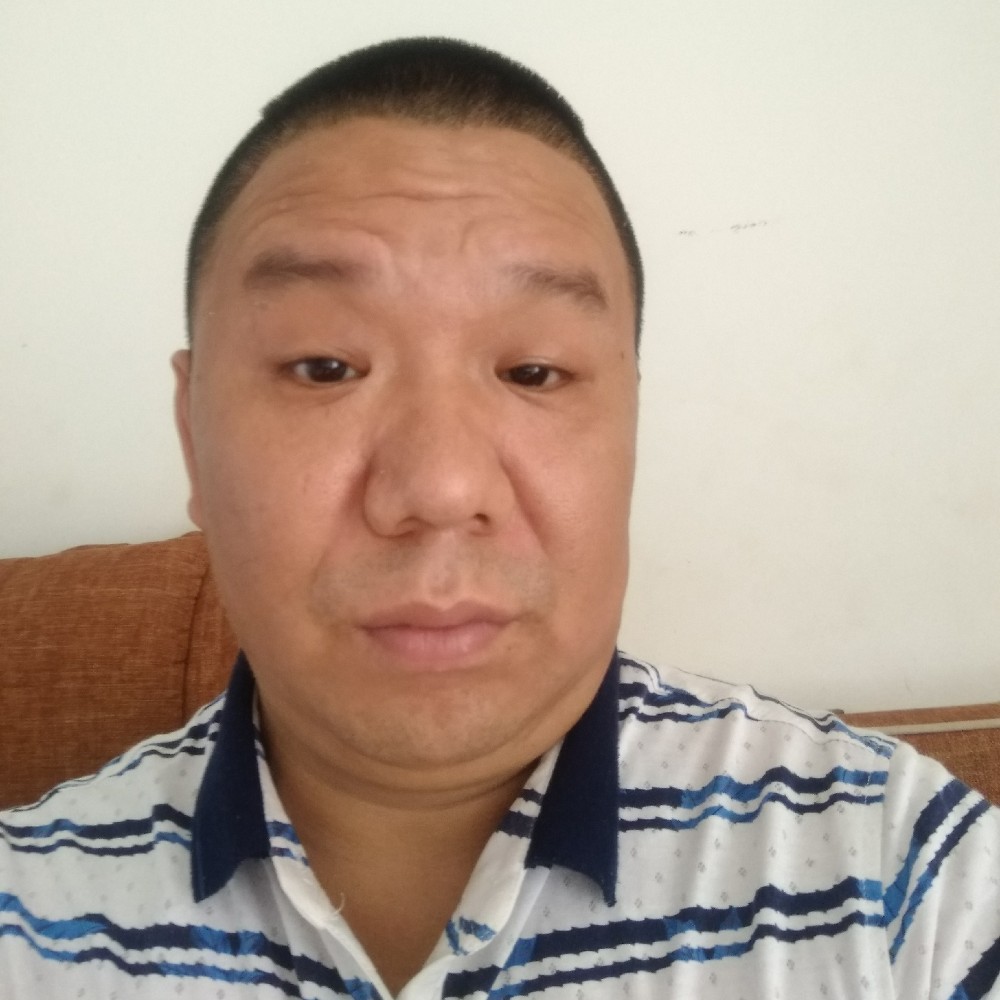 疯狂蜜蜂的照片