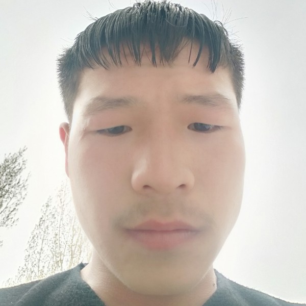 糊涂深拥黄豆的照片