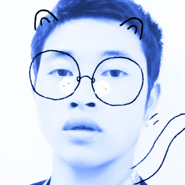 炙热仙人掌的照片