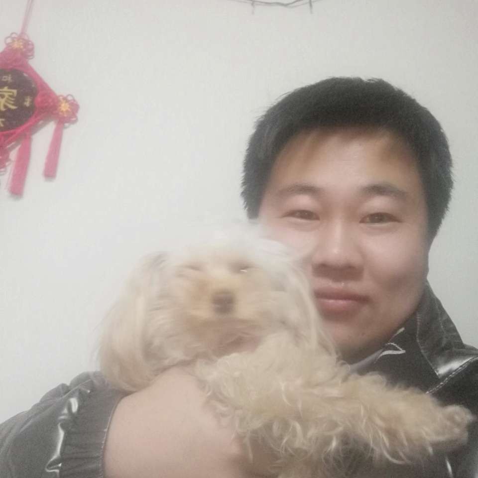 蝶舞等于曾经的照片