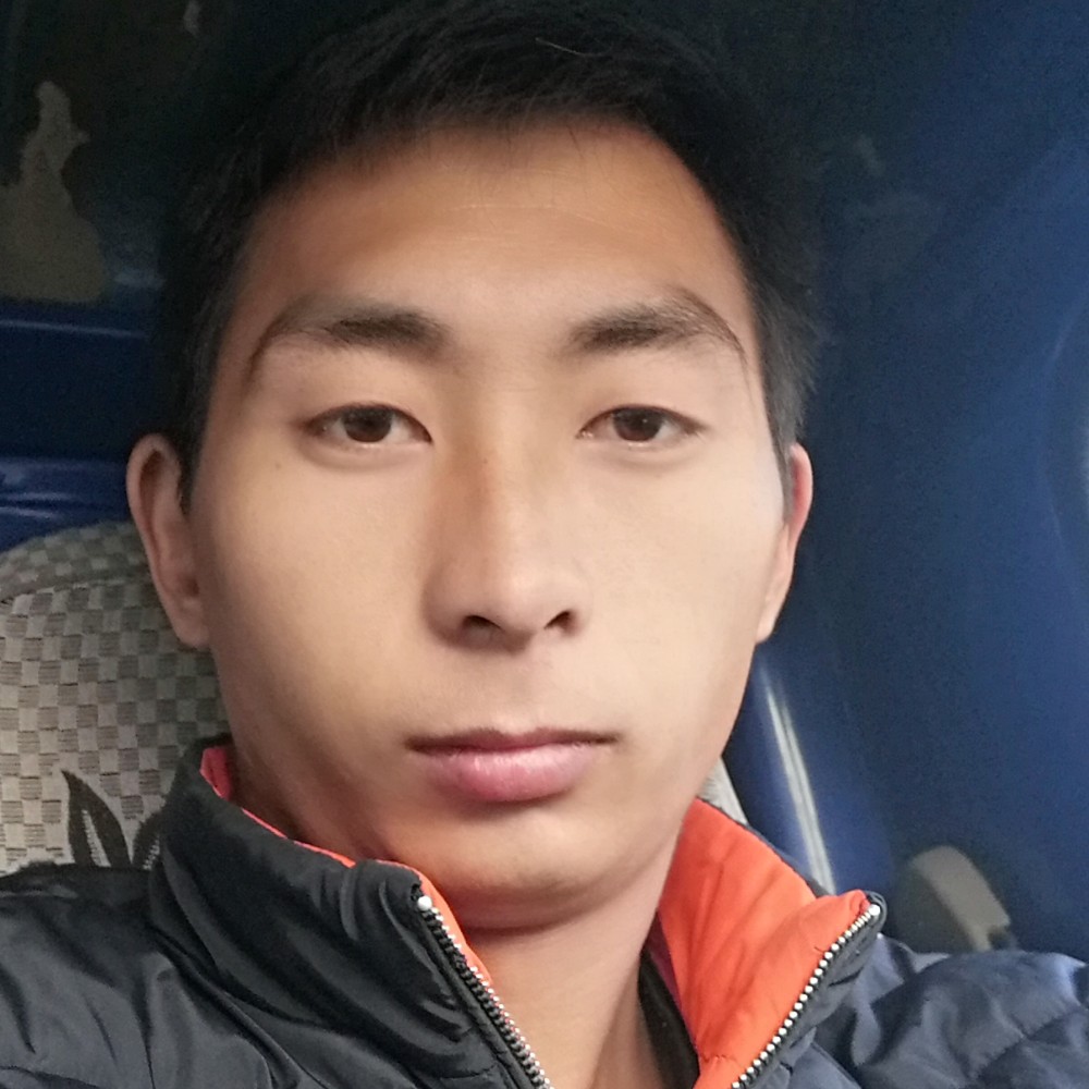 骆驼沙漠的照片