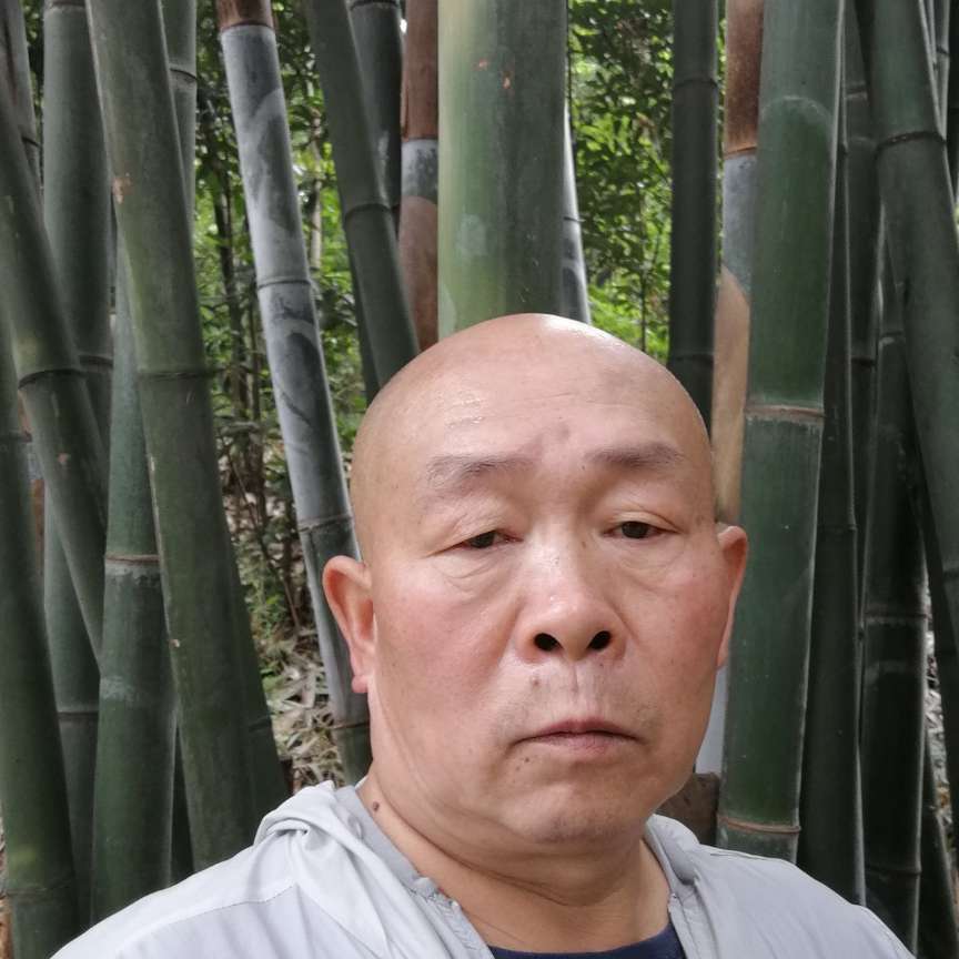 诺言有饱满的照片