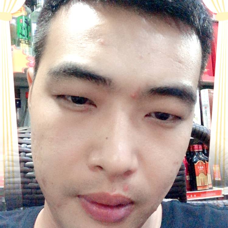 追寻蚂蚁的照片