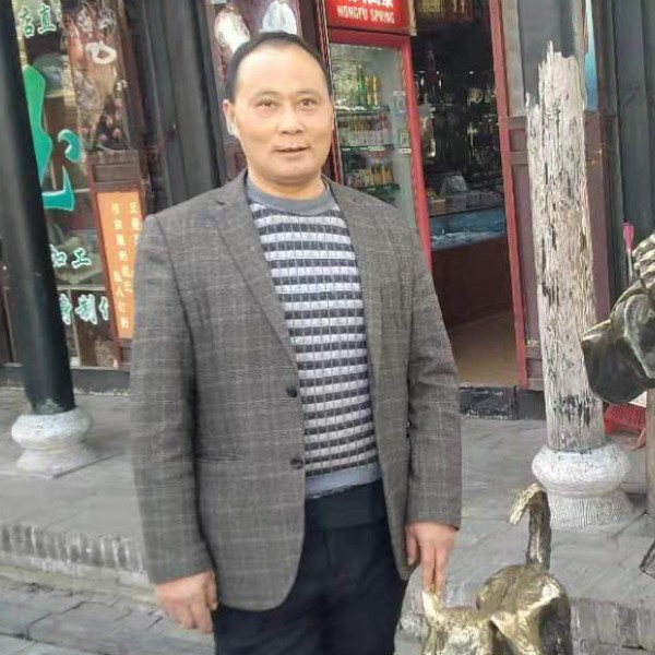 内向浅吻海燕的照片