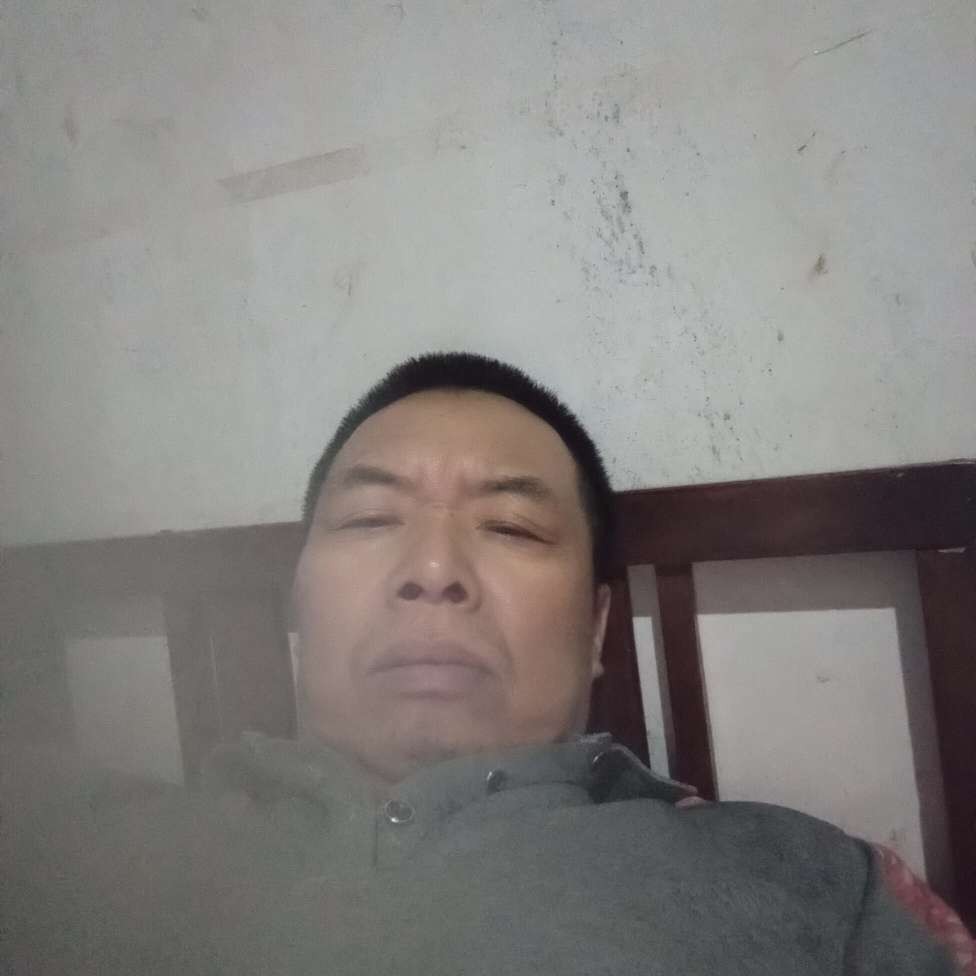 平淡给电话的照片