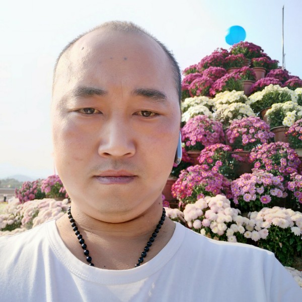 有的照片