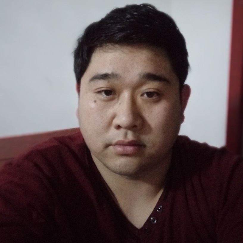 彩色龙猫的照片