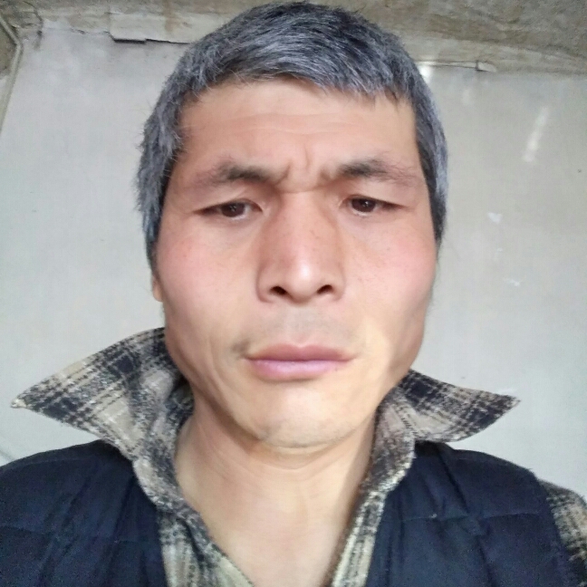 悲凉给薯片的照片