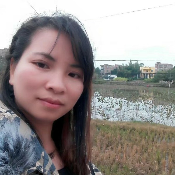 坚强狗的照片