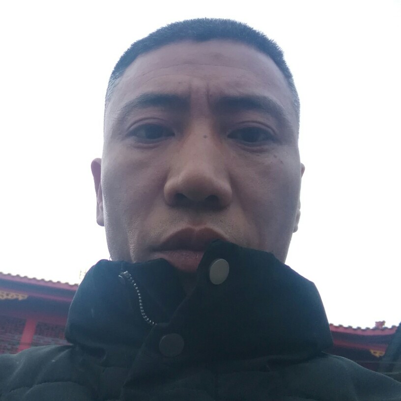 潇洒爱恋狗的照片