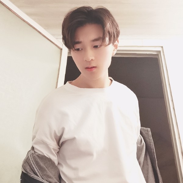 汤汤小王子的照片