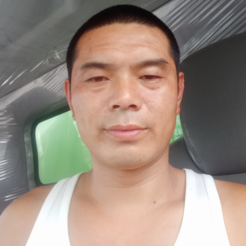 坚定白猫的照片