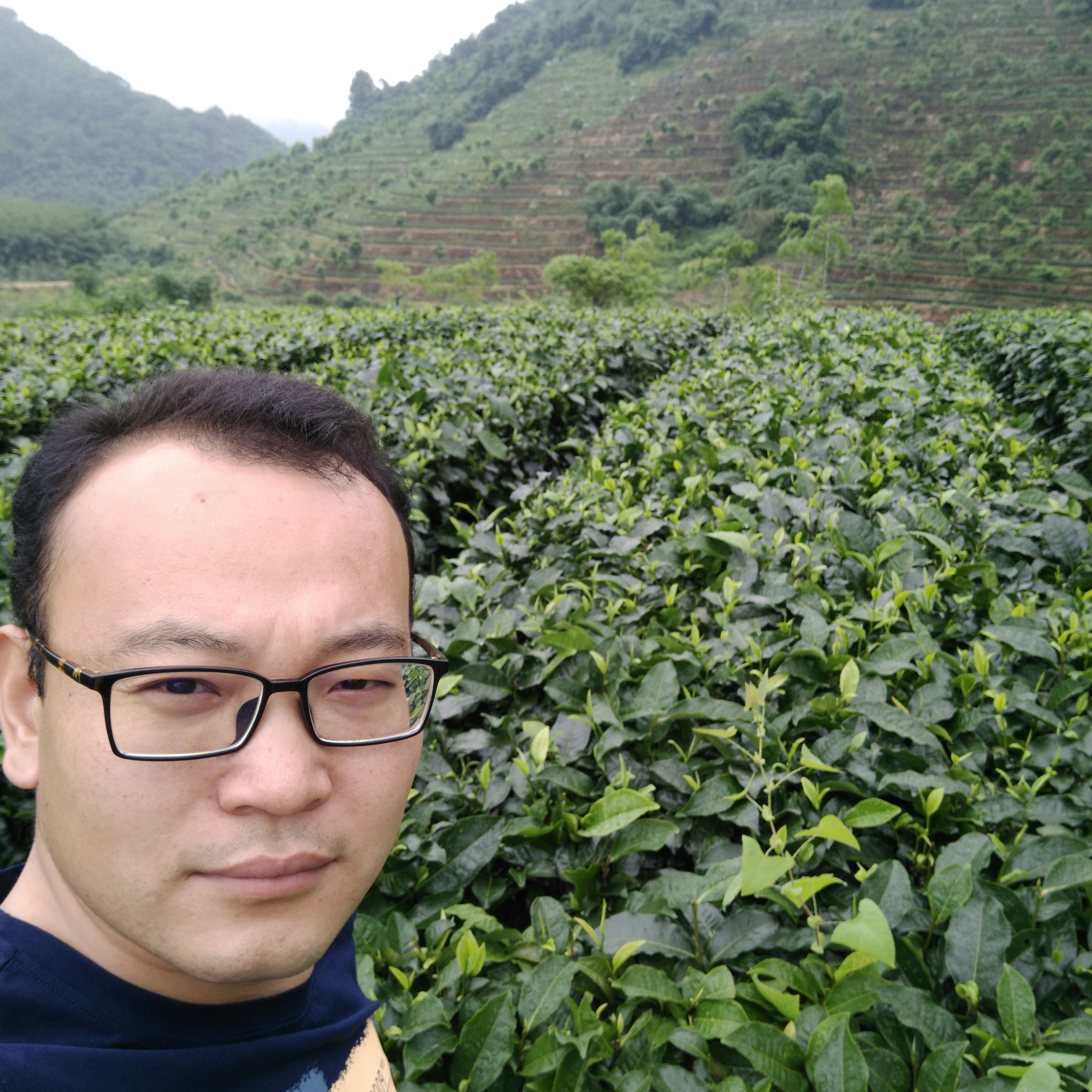 清秀蹁跹若溪的照片