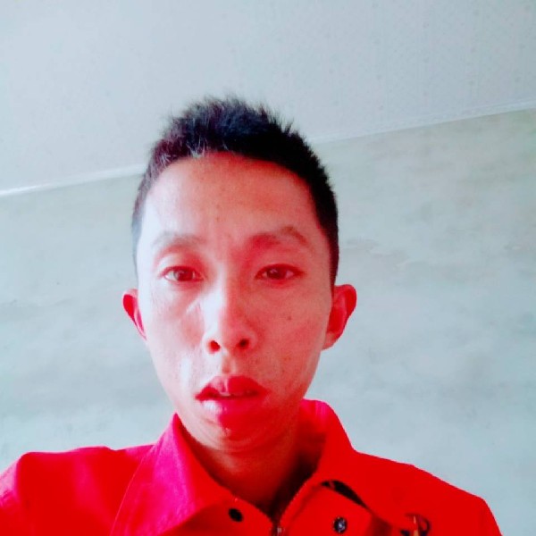 饼干請谦让的照片