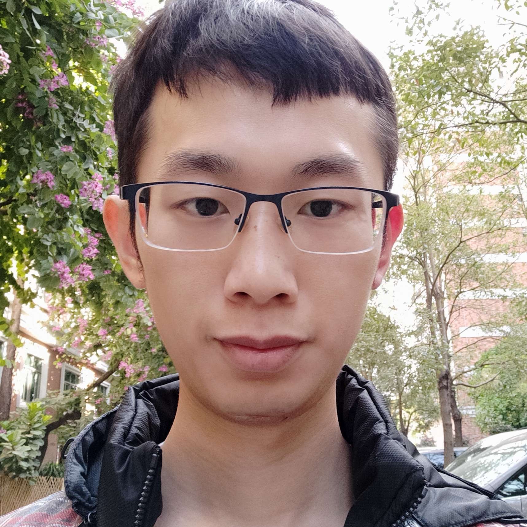 双木林林的照片