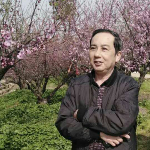鸭子遇見俏皮的照片