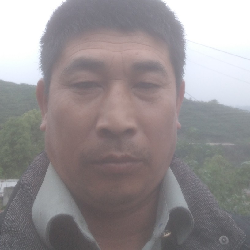 懵懂说哈密瓜的照片