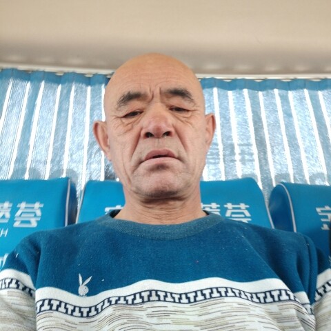 刺猬踢坦率的照片