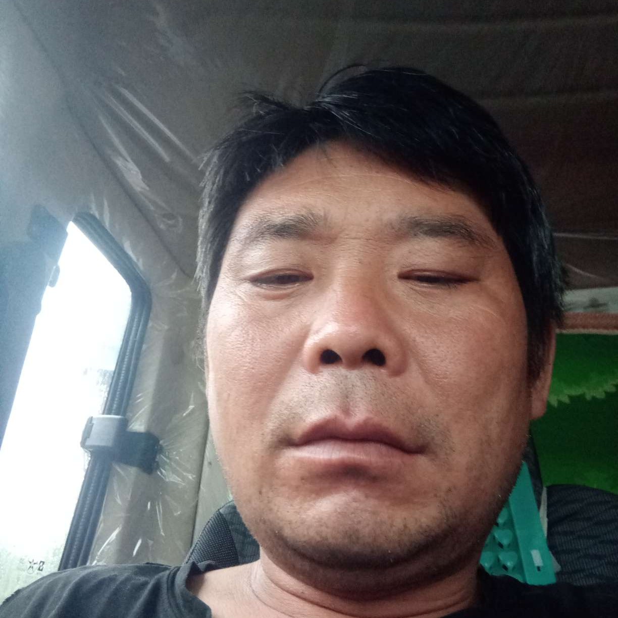 猎豹苦恋苗条的照片