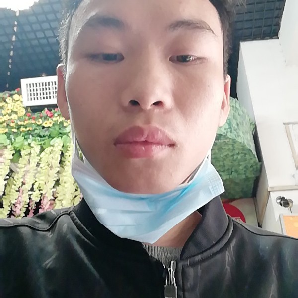 斑马多么虚心的照片