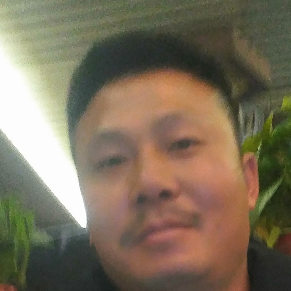 绿嫩蔷薇的照片