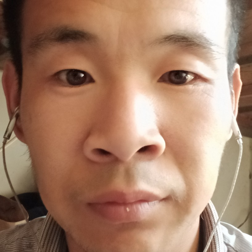 沉静泪了红玫瑰的照片