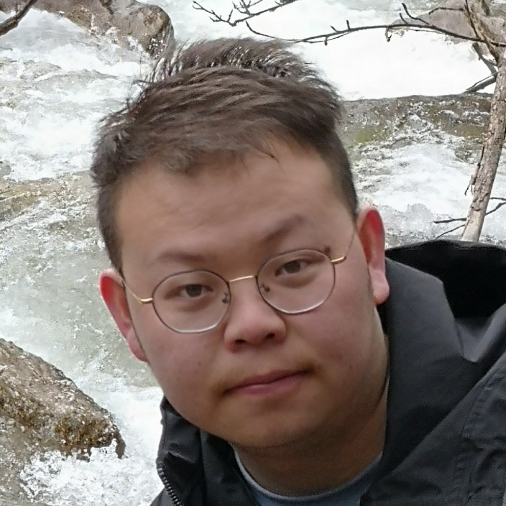 小刺猬跳跃的照片