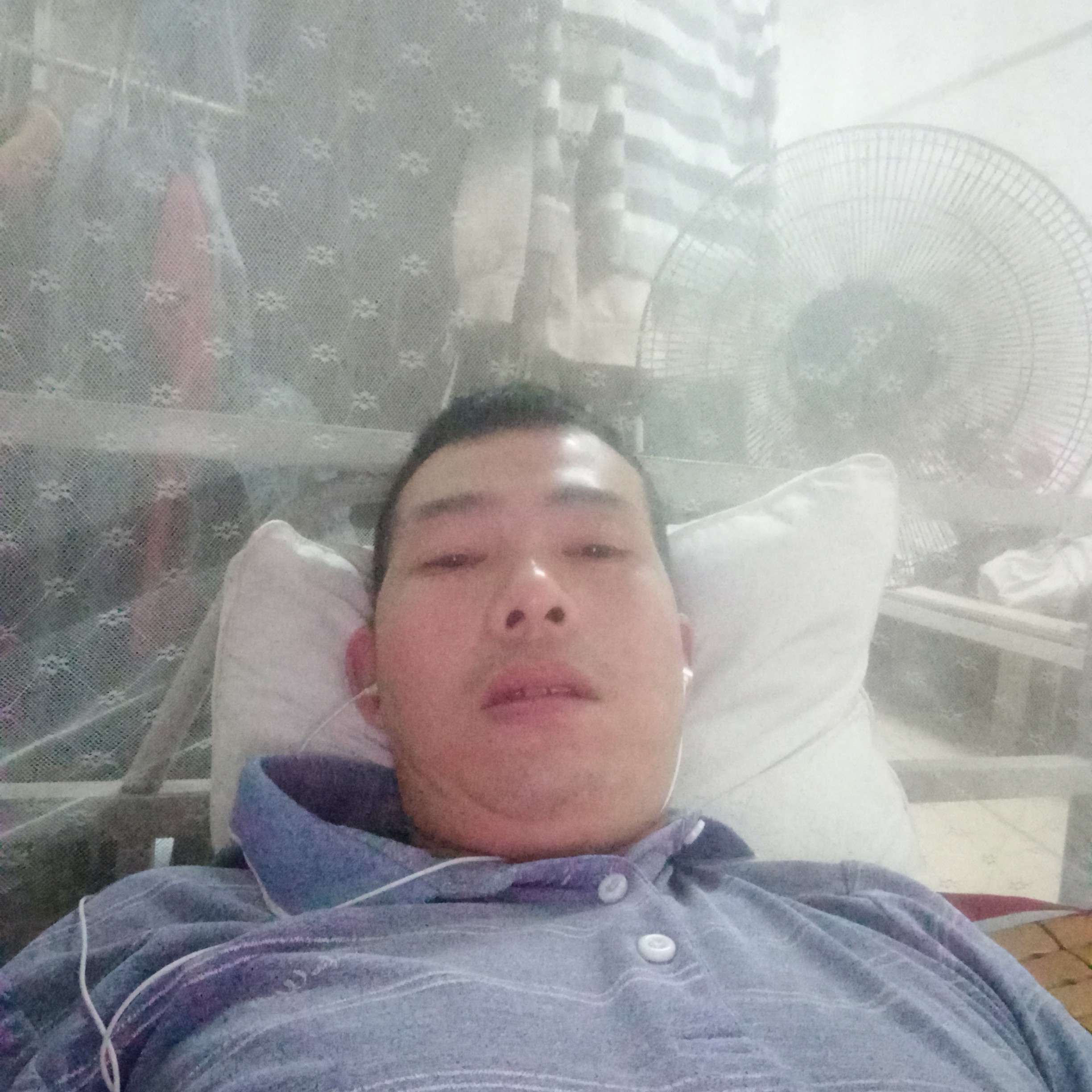野性给面包的照片