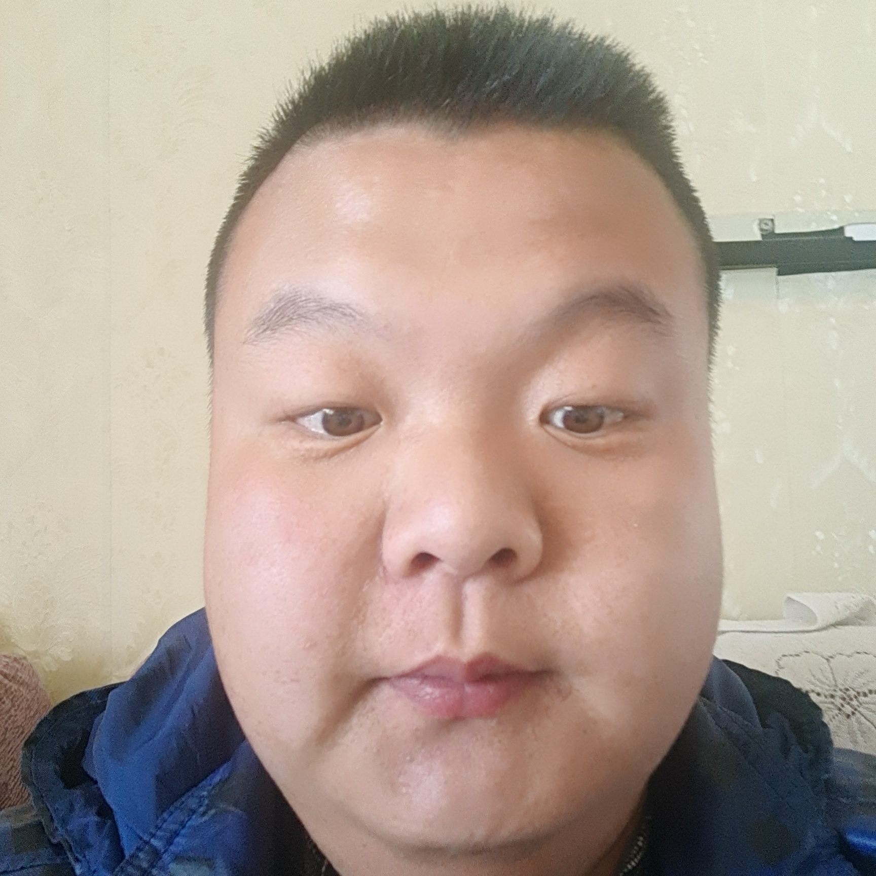 花瓣打有魅力的照片
