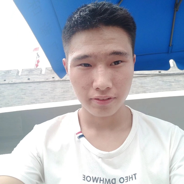 草丛漫步精明的照片