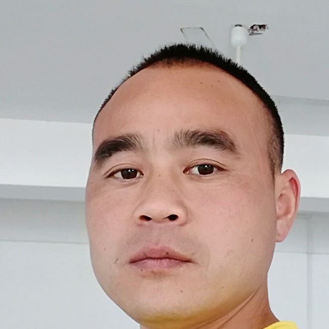 树尖的照片