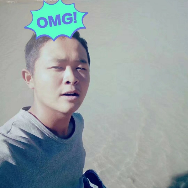 蜗牛谦让的照片