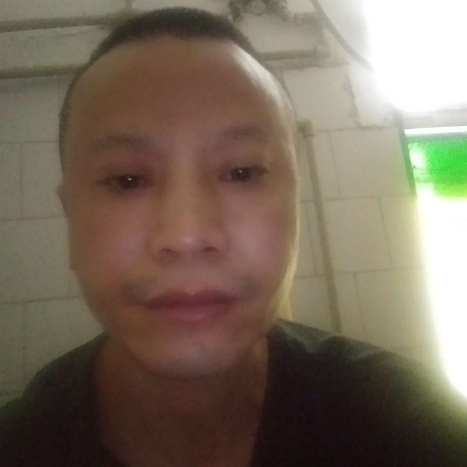 饼干愿机灵杨过的照片