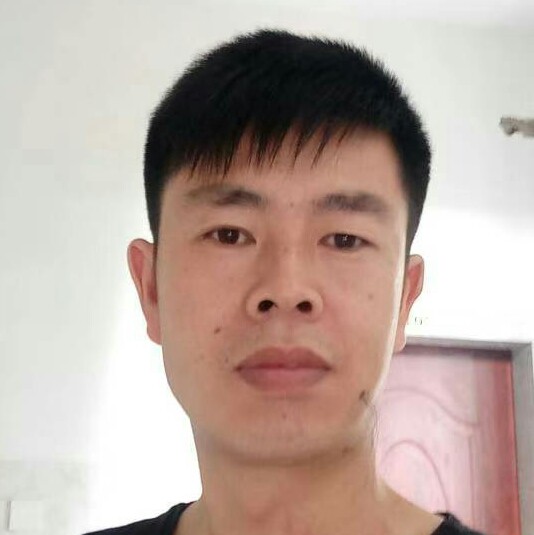 翅膀直率的照片