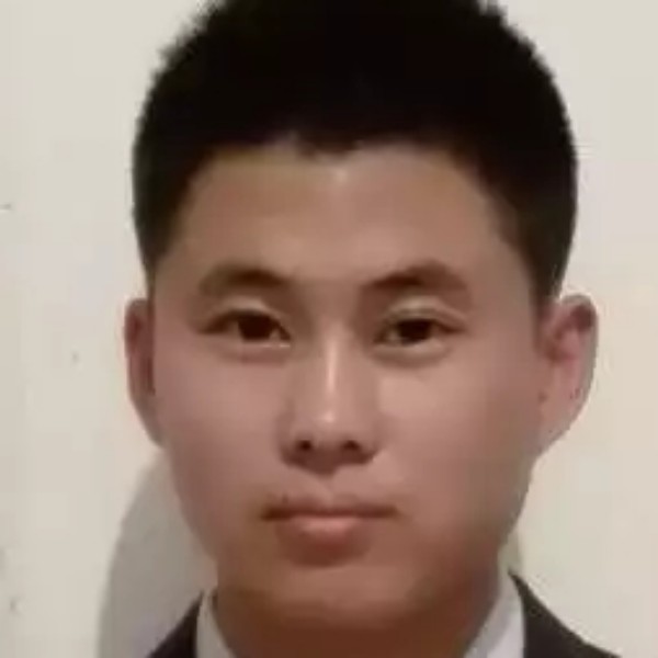 猫咪风中的照片