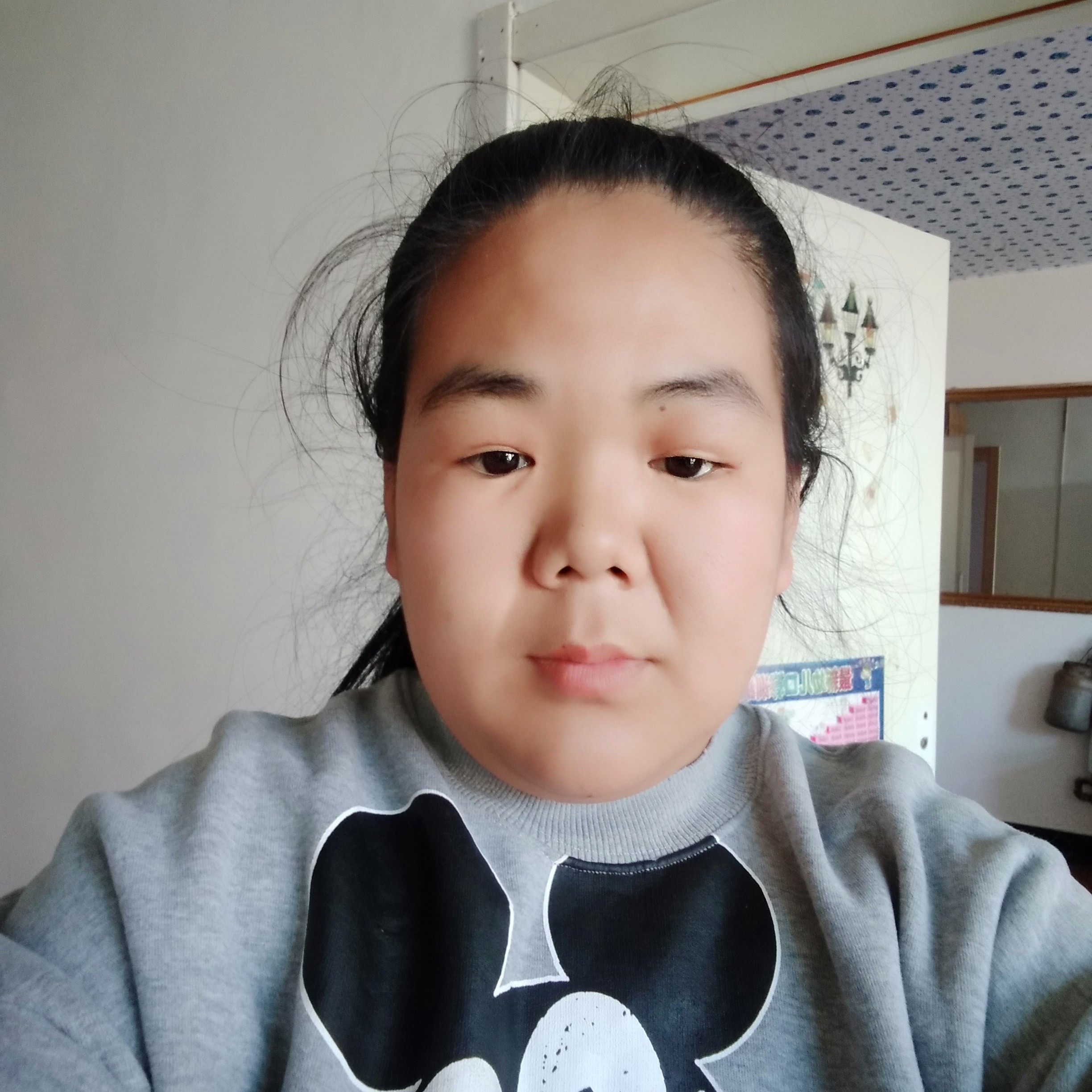 缥缈和乌龟的照片