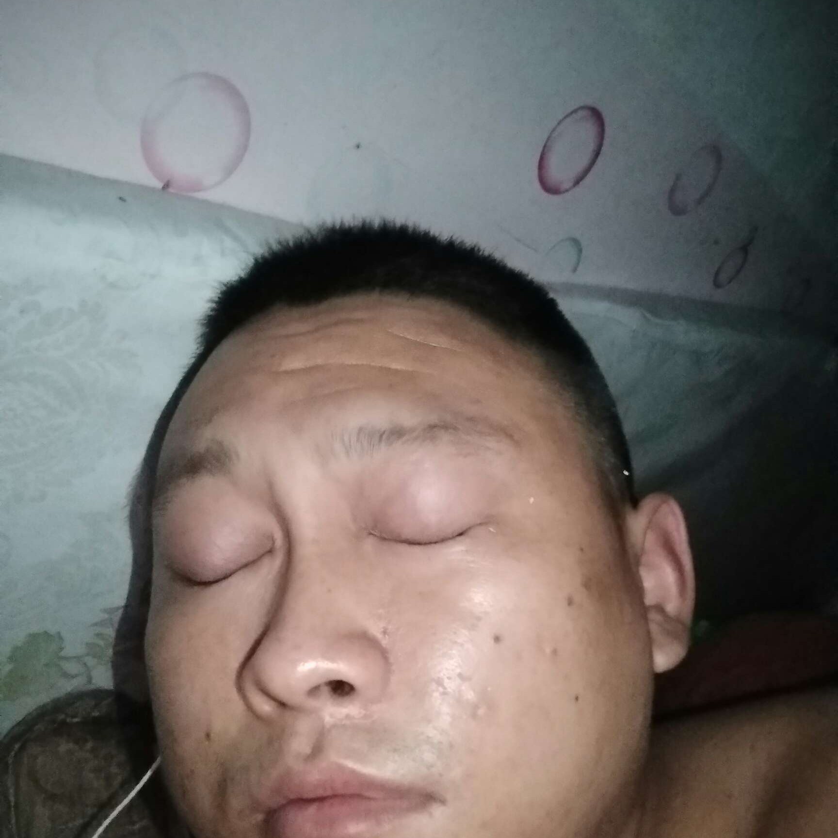若梦用仙人掌的照片